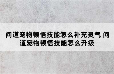 问道宠物顿悟技能怎么补充灵气 问道宠物顿悟技能怎么升级